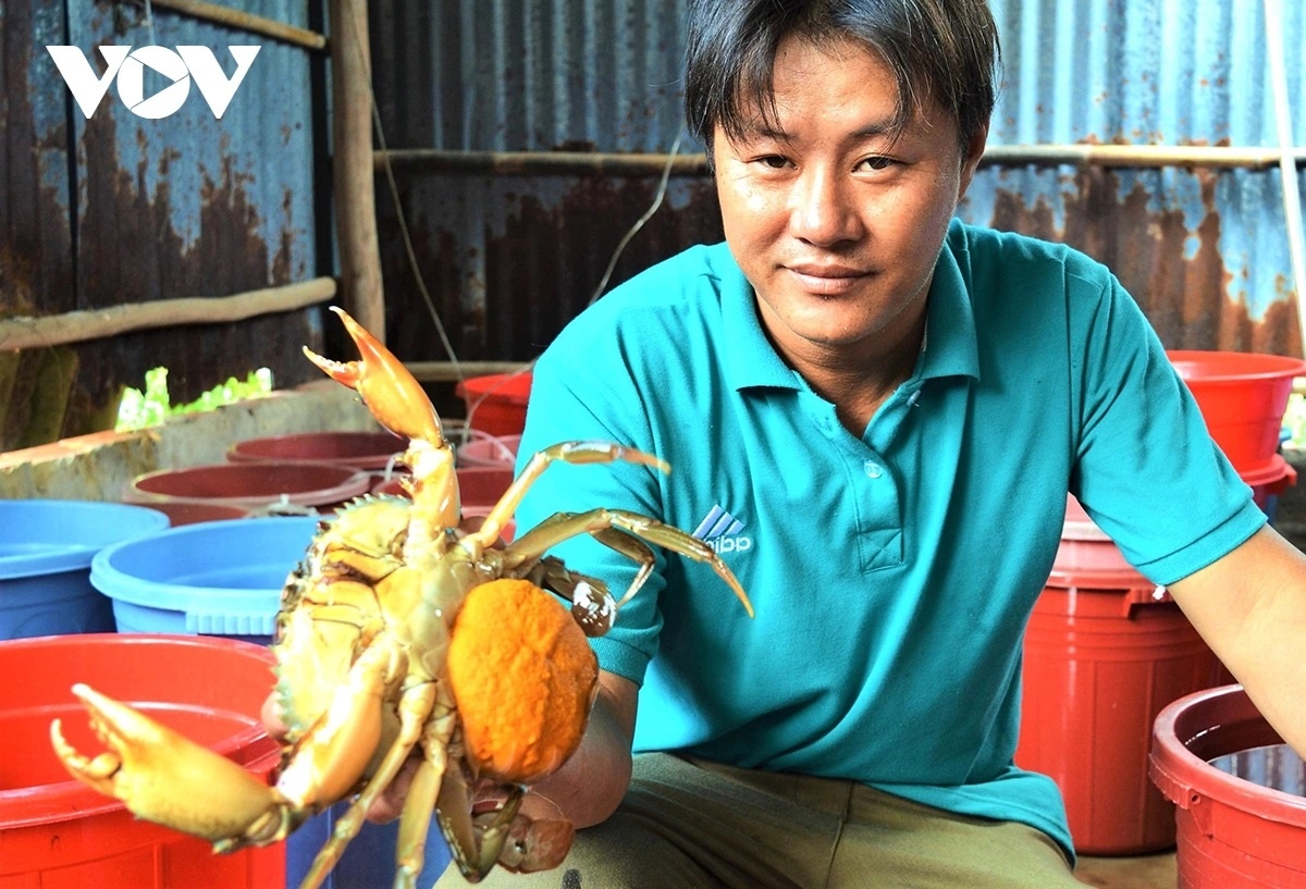 9 ty cua Ca Mau anh 1