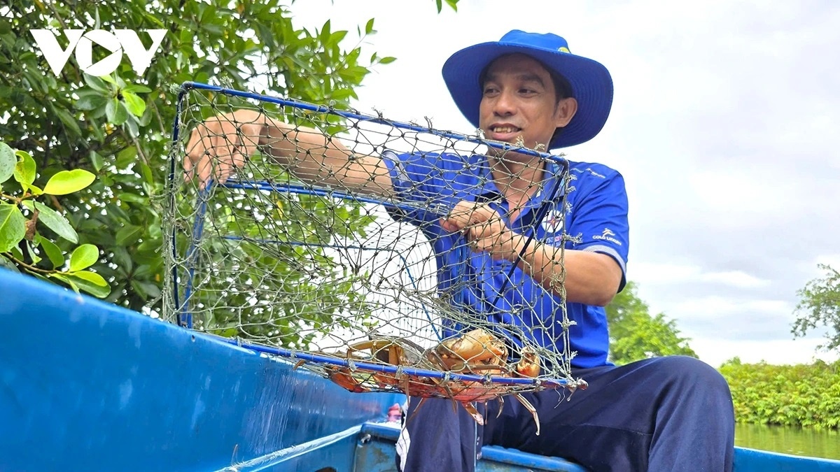 9 ty cua Ca Mau anh 3