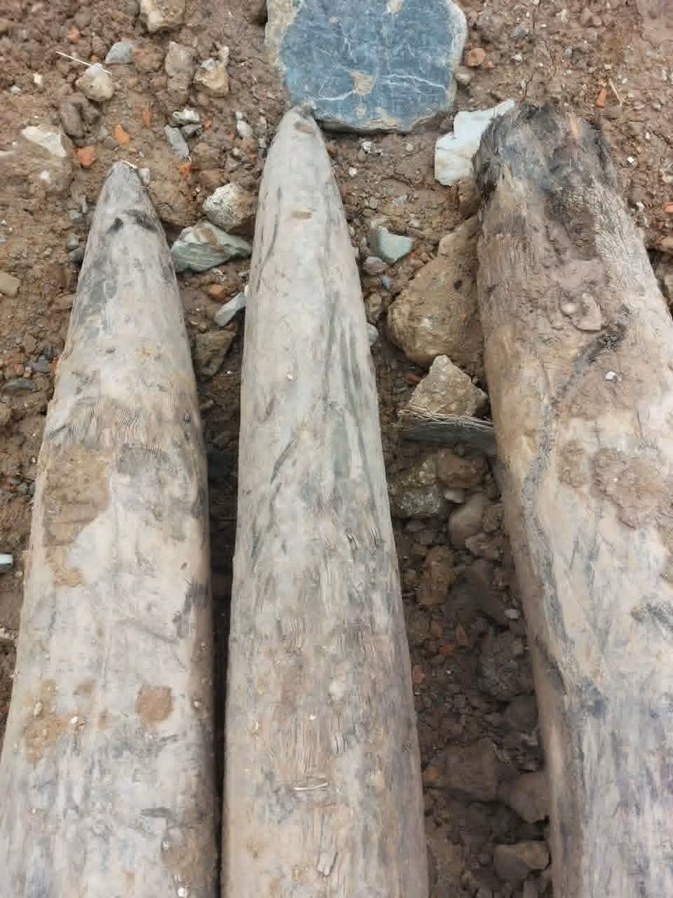 Coc go song Van anh 2