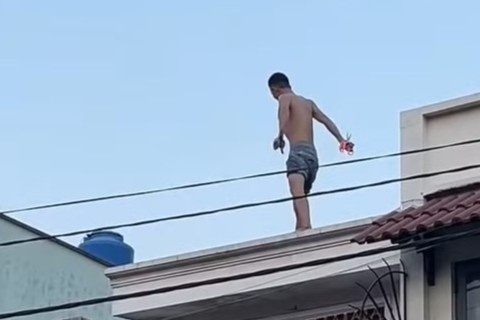 Nguoi nghi ngao da quay pha tren mai nha o TP.HCM hinh anh