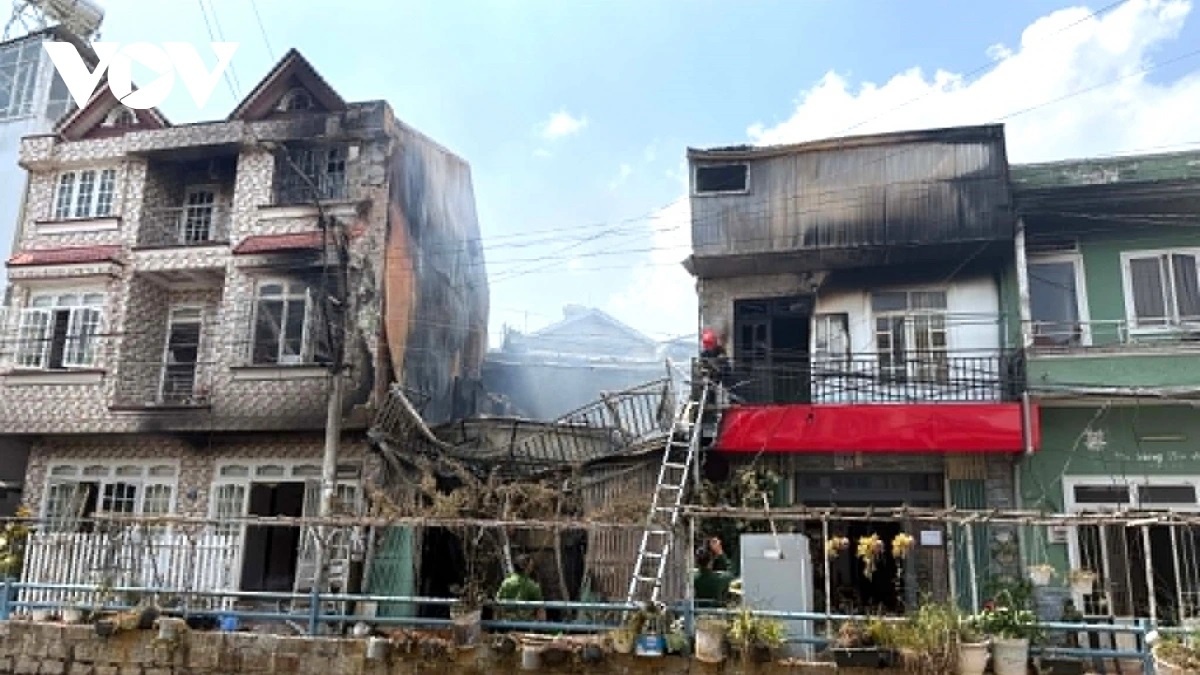 Nguyen Tri Long anh 1