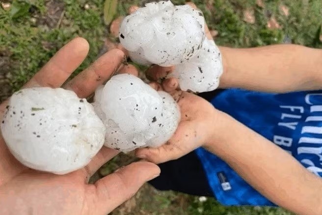 Vi sao mua da to nhu qua trung xuat hien? hinh anh