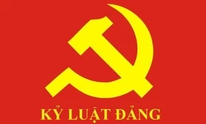 Thanh uy TP.HCM ky luat 8 dang vien vi pham hinh anh