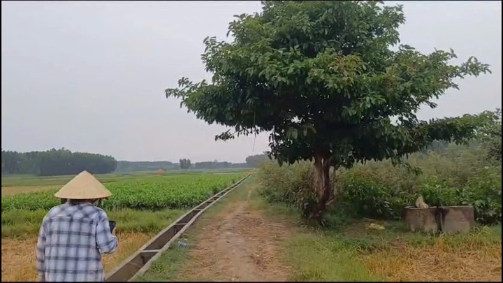 Set danh Quang Ngai anh 1