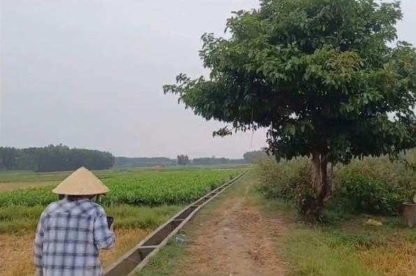 Cho lua ngoai dong ve, lao nong bi set danh tu vong hinh anh
