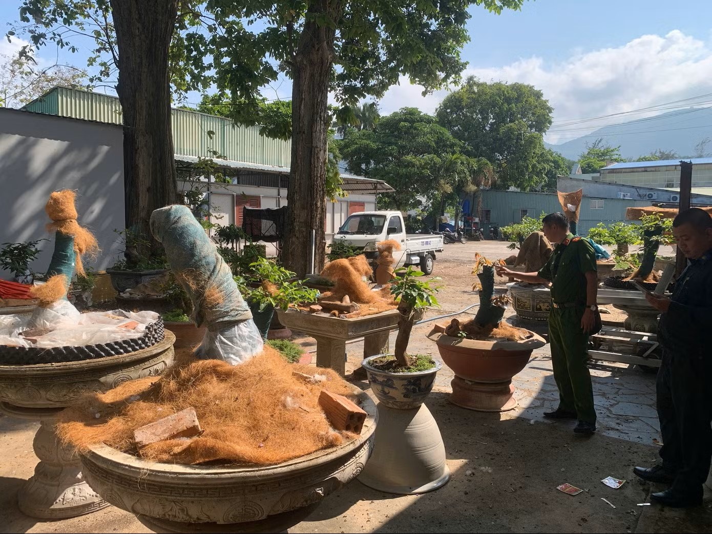 42 goc mai Con Dao anh 1