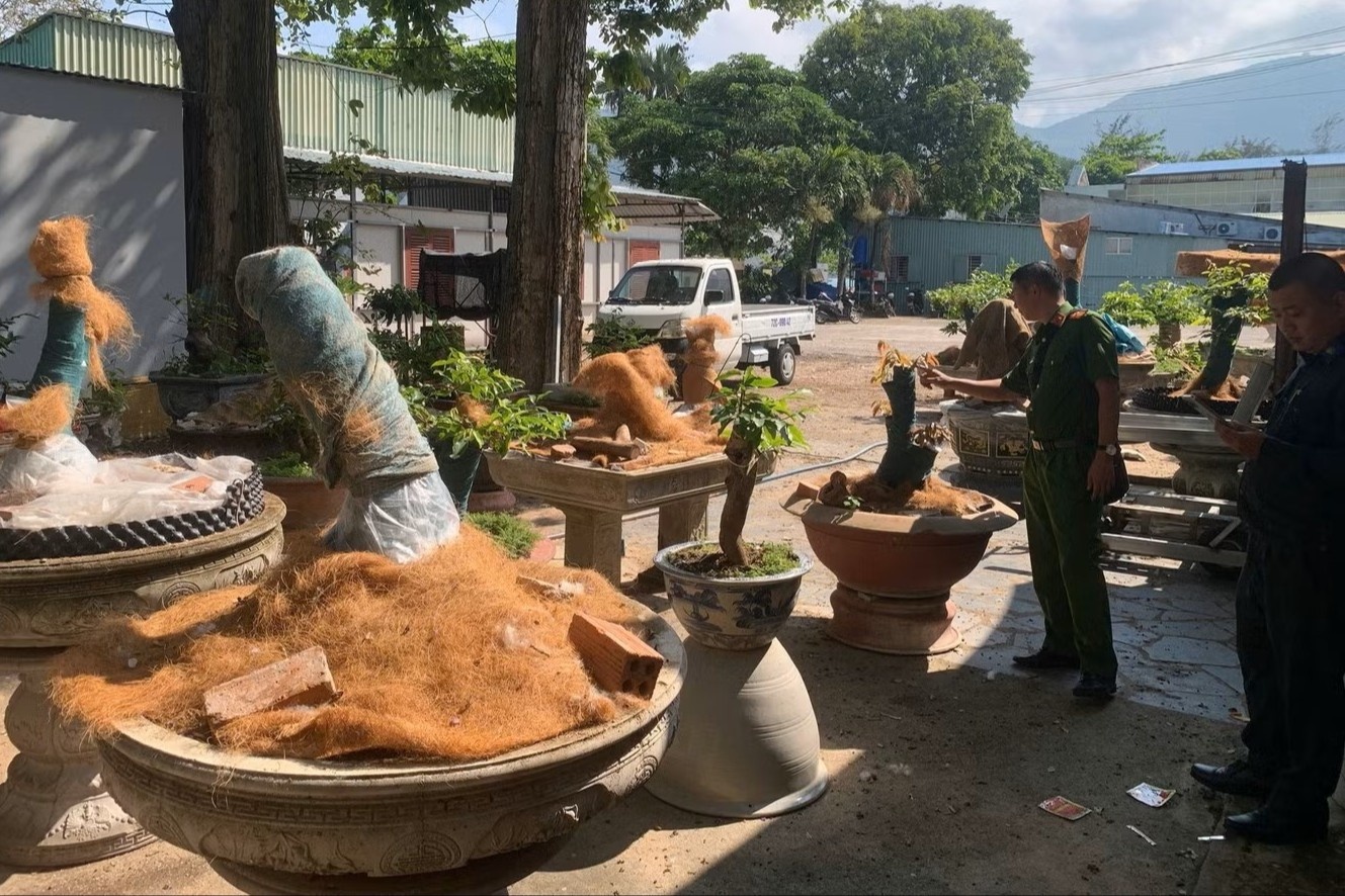 Chu nhan 42 goc mai bi tich thu o Con Dao duoc tra mot nua hinh anh