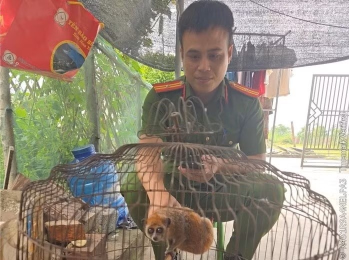 Dong vat quy hiem anh 2