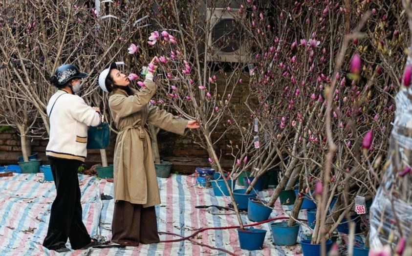 Du bao thoi tiet dip nghi Tet Nguyen dan Binh Ngo 2026 hinh anh