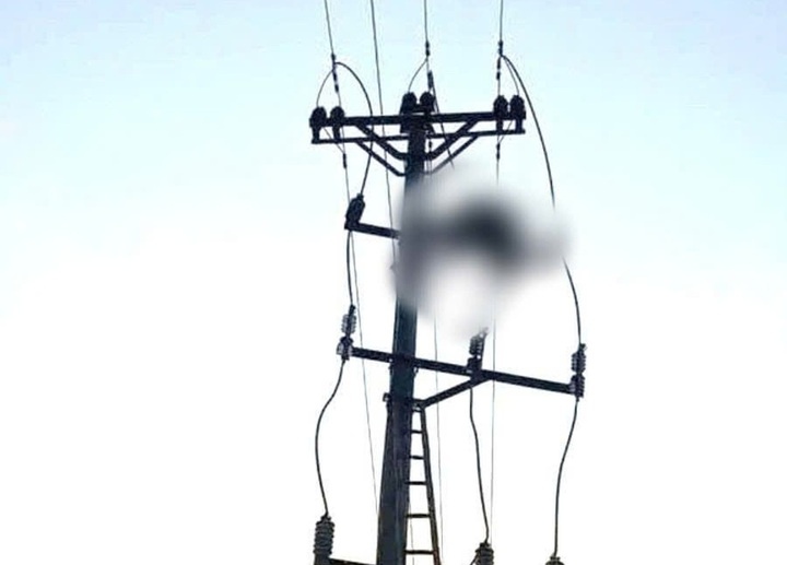 Tu vong cot dien anh 1