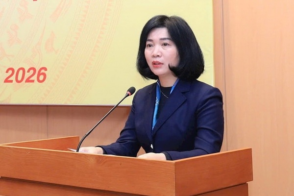 Gioi thieu Chu tich HDND Ha Noi Phung Thi Hong Ha ung cu DBQH hinh anh