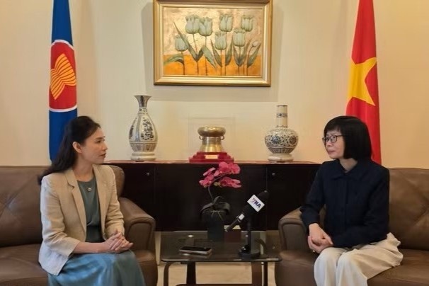 Viet Nam chu dong cung ASEAN 'cheo lai' truoc bien dong toan cau hinh anh