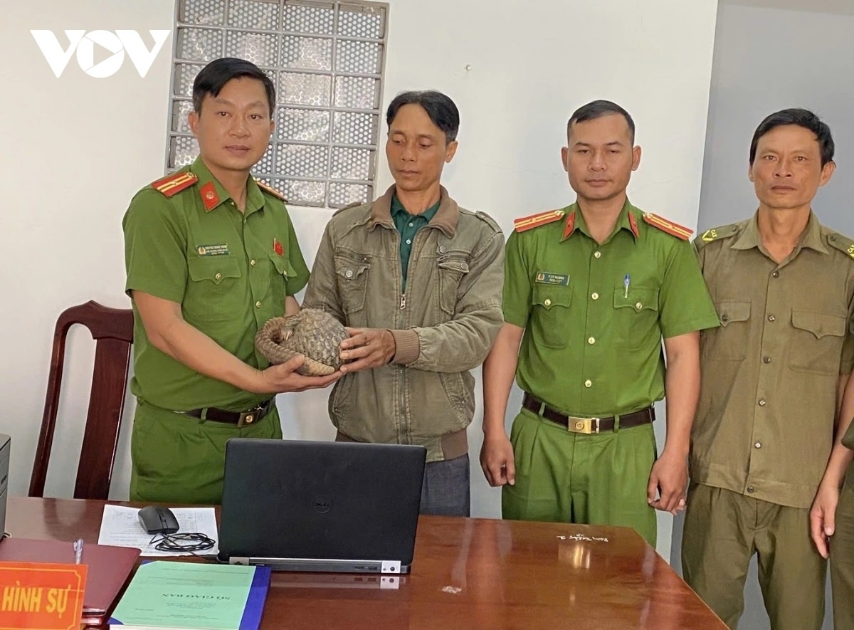 Te te quy hiem Java anh 1