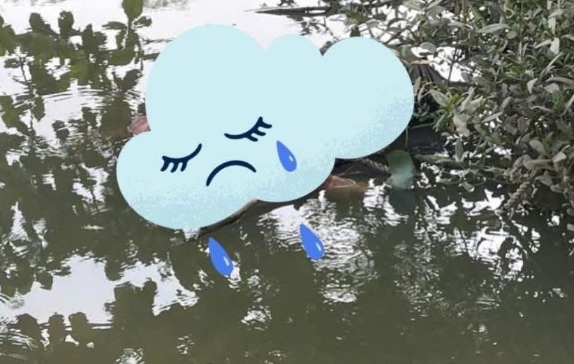 Nam thanh nien mac do the thao tu vong duoi song o TP.HCM hinh anh