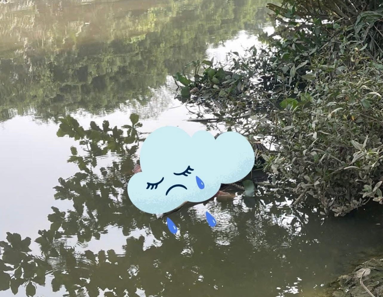 Thi the Rach Chiec TP.HCM anh 1