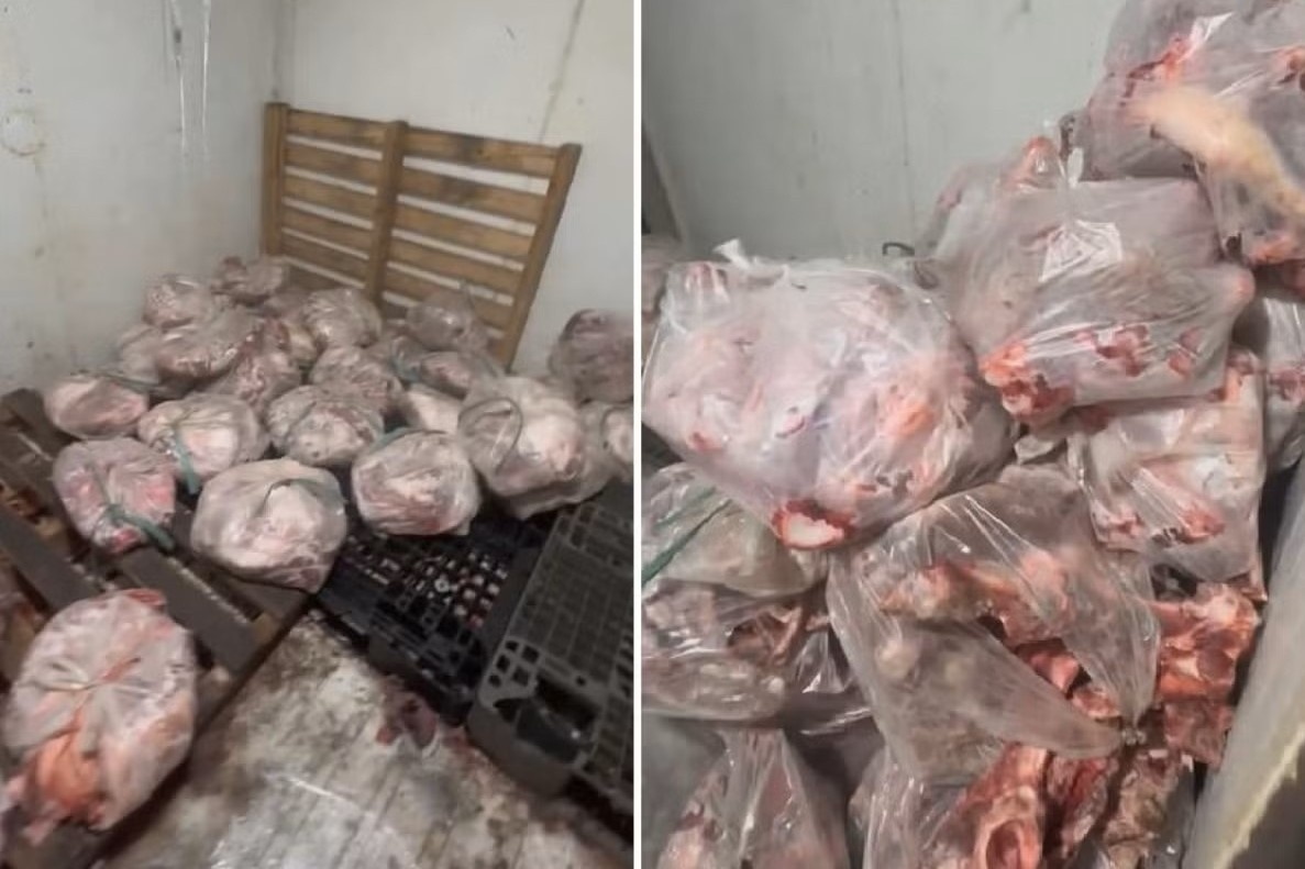 Chan hon 500 kg thit boc mui chuan bi tuon ra thi truong hinh anh