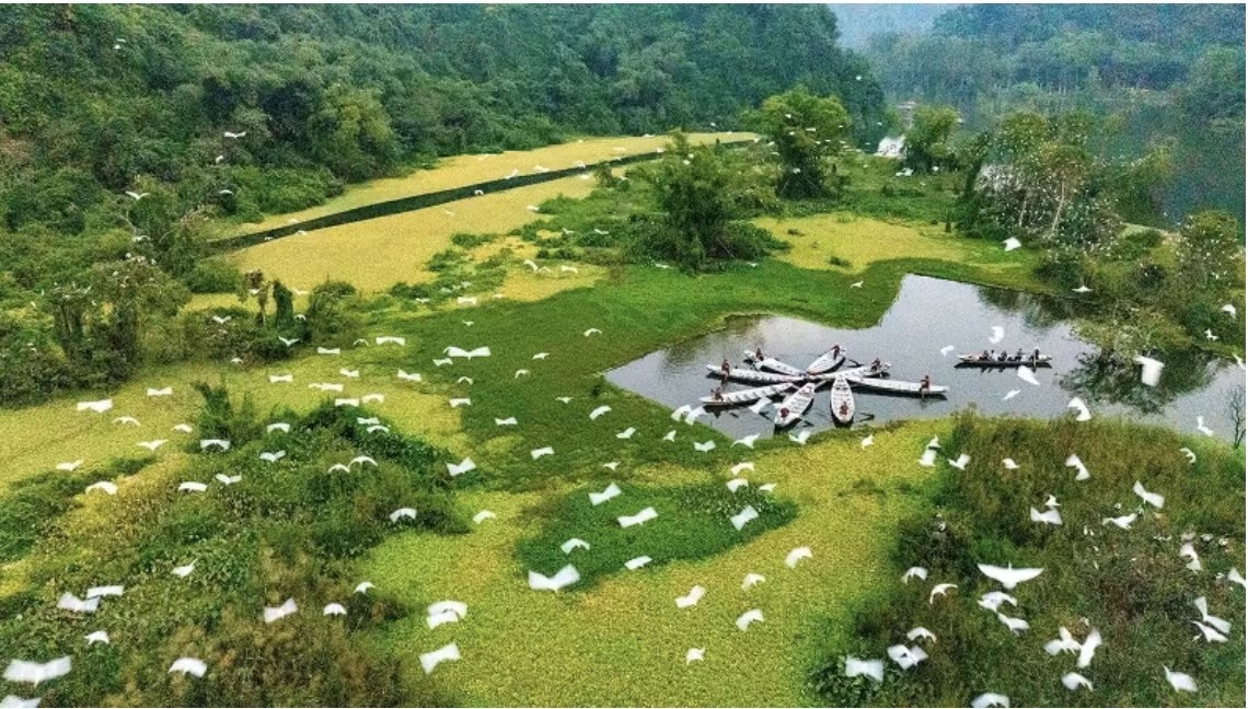 Su thuc Vuon chim Thung Nham duoc chuyen nhuong gia hang trieu USD hinh anh