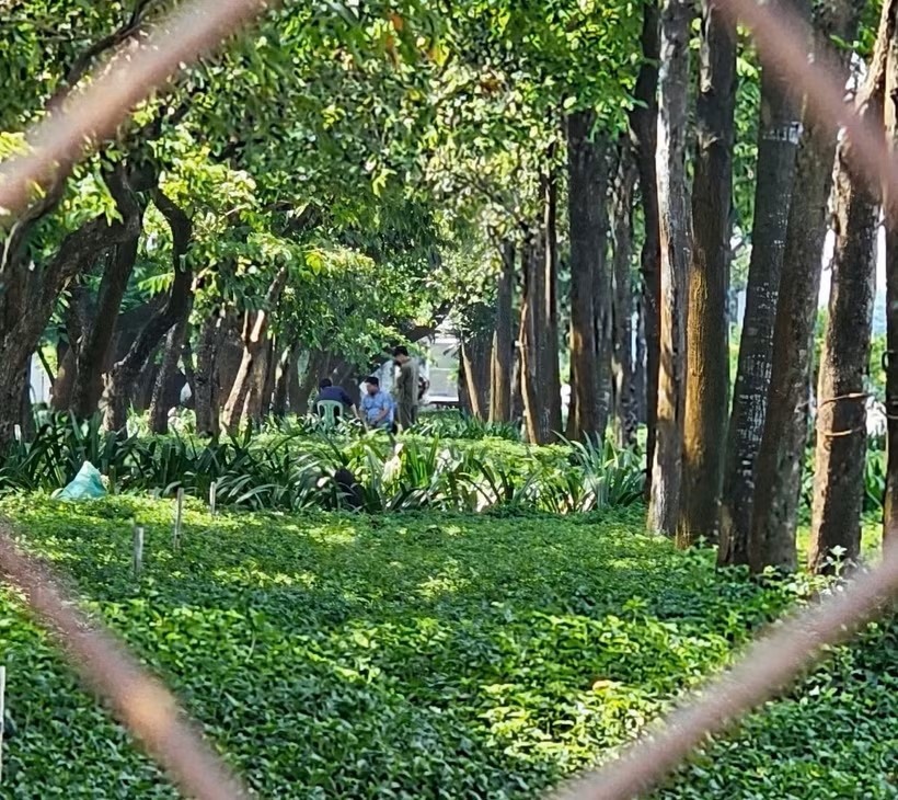 Tu vong TP.HCM anh 1