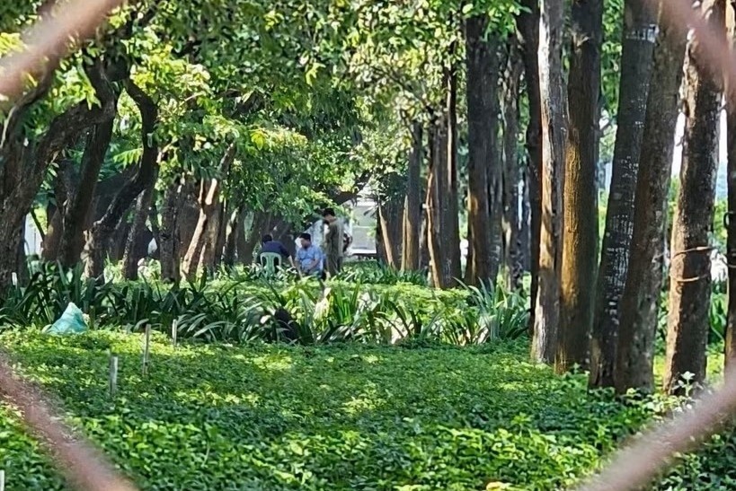 Nguoi dan ong tu vong bi an tai khuon vien cay xanh o TP.HCM hinh anh