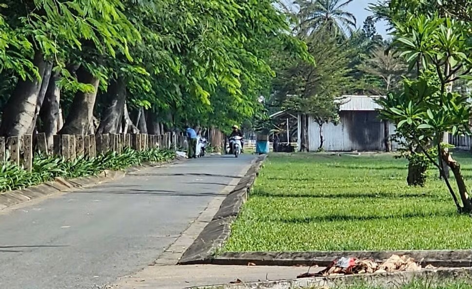Tu vong TP.HCM anh 2