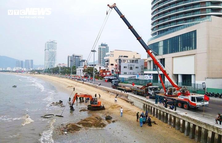 Xe tang bien Quy Nhon anh 1