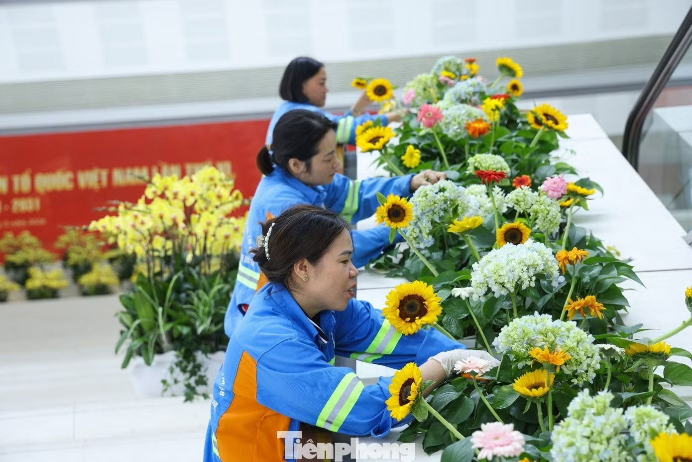 Mặt trận Tổ quốc ảnh 11 Mat tran To quoc anh 11