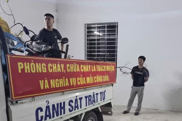 Bat giu vu khai thac, van chuyen cay Muoi hong o Ninh Binh hinh anh