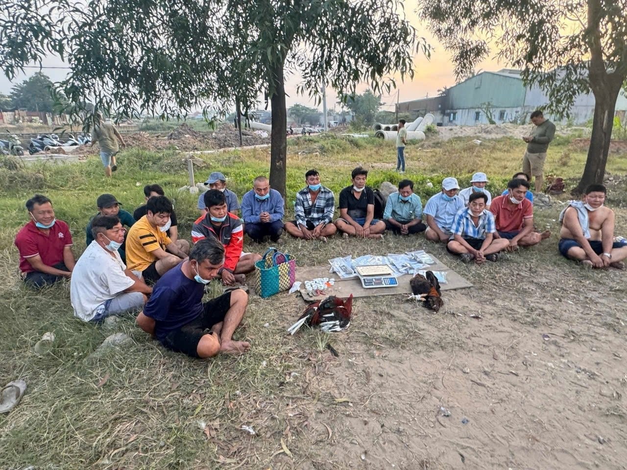 dot kich,  Soi da ga anh 3