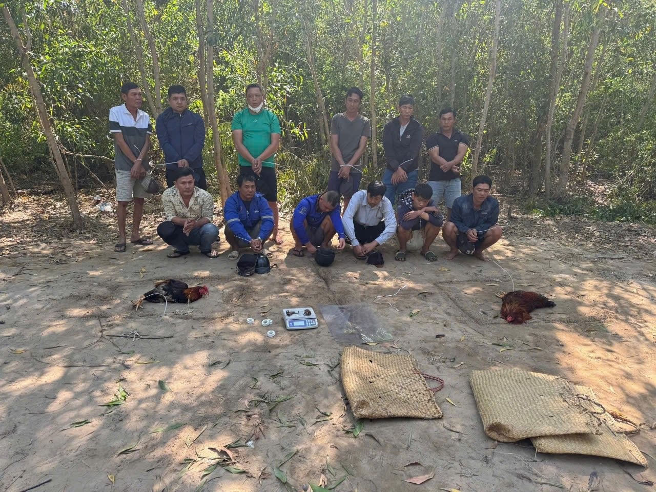 dot kich,  Soi da ga anh 4