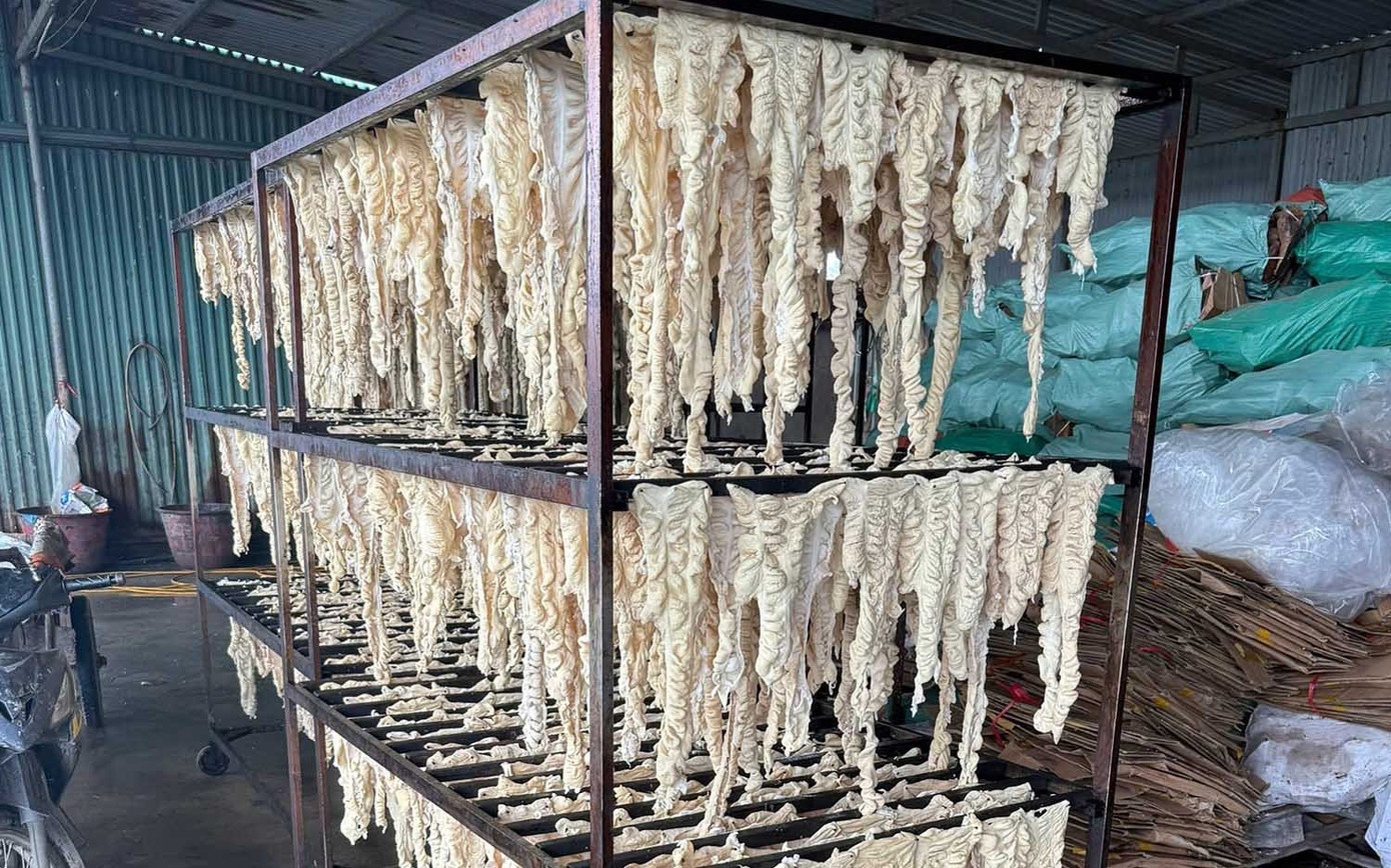 Cong ty Truong Huy,  Doanh nghiep Truong Huy,  Hai Phong,  Truong Huy,  Giam doc Truong Huy,  Chu tich Truong Huy,  Tru so Truong Huy anh 1