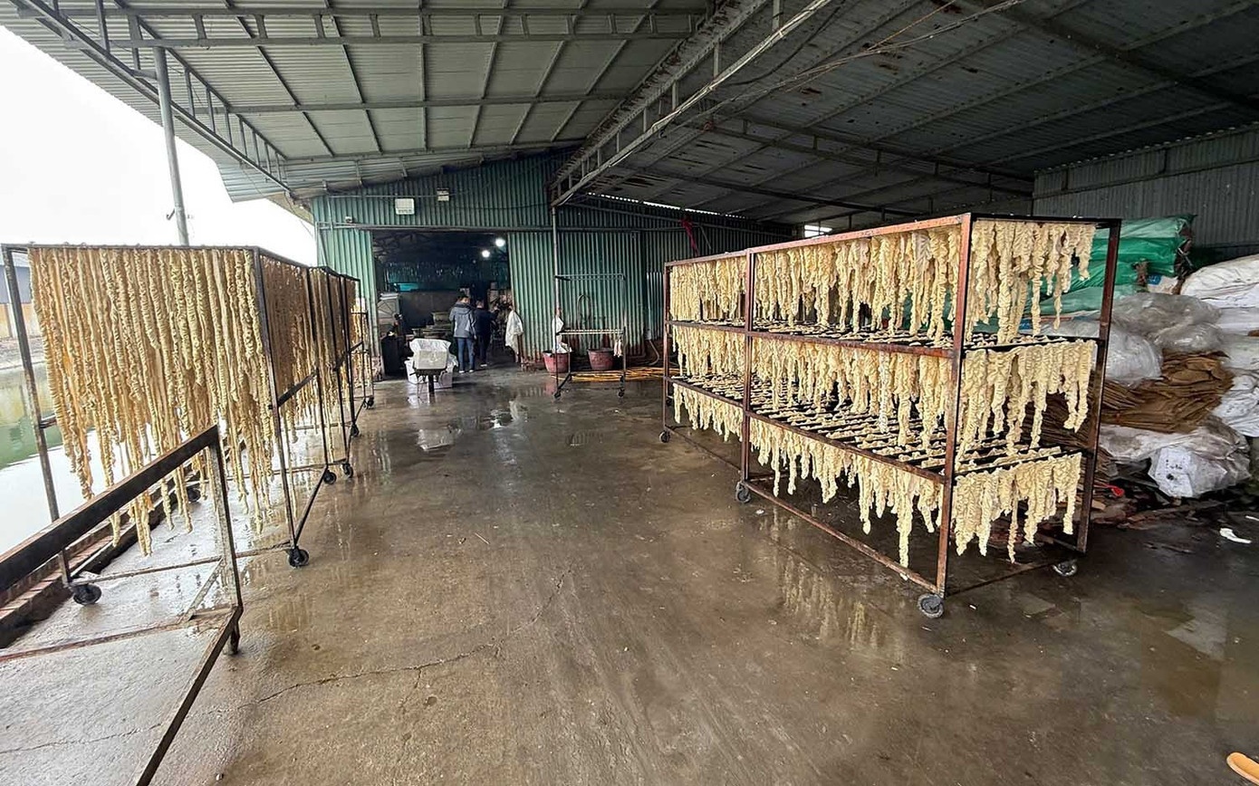 Hon 55 tan long, da day va chan ga khong ro nguon goc o Hai Phong hinh anh