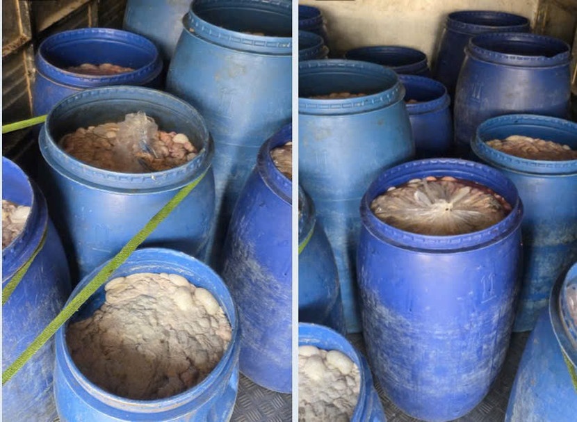 Phat hien oto cho hon 630 kg noi tang lon co dau hieu hu hong hinh anh