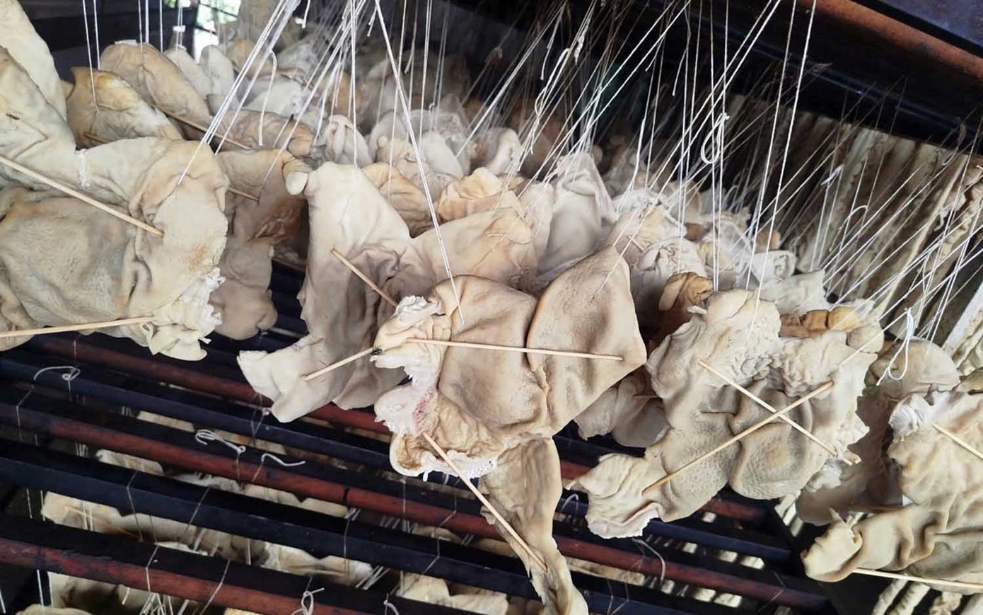 Cong ty Truong Huy,  Doanh nghiep Truong Huy,  Hai Phong,  Truong Huy,  Giam doc Truong Huy,  Chu tich Truong Huy,  Tru so Truong Huy anh 3