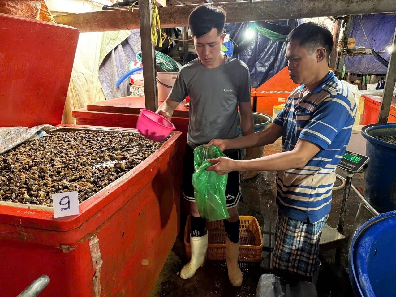 Triet pha 'xuong' dung 500 tan hoa chat doc hai ngam 3.000 tan thit oc hinh anh