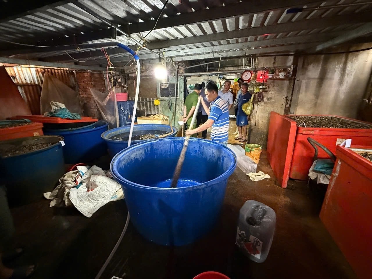 500 tấn hóa chất, độc hại, 3.000 tấn thịt ốc ảnh 3 500 tan hoa chat, doc hai, 3.000 tan thit oc anh 3