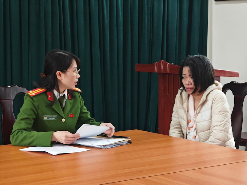 Loi khai giup viec,  Bao hanh cu ba anh 1