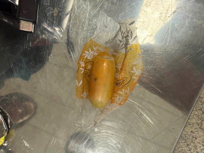 5 kg ma tuy,  cocain,  San bay Noi Bai,  Noi Bai anh 2