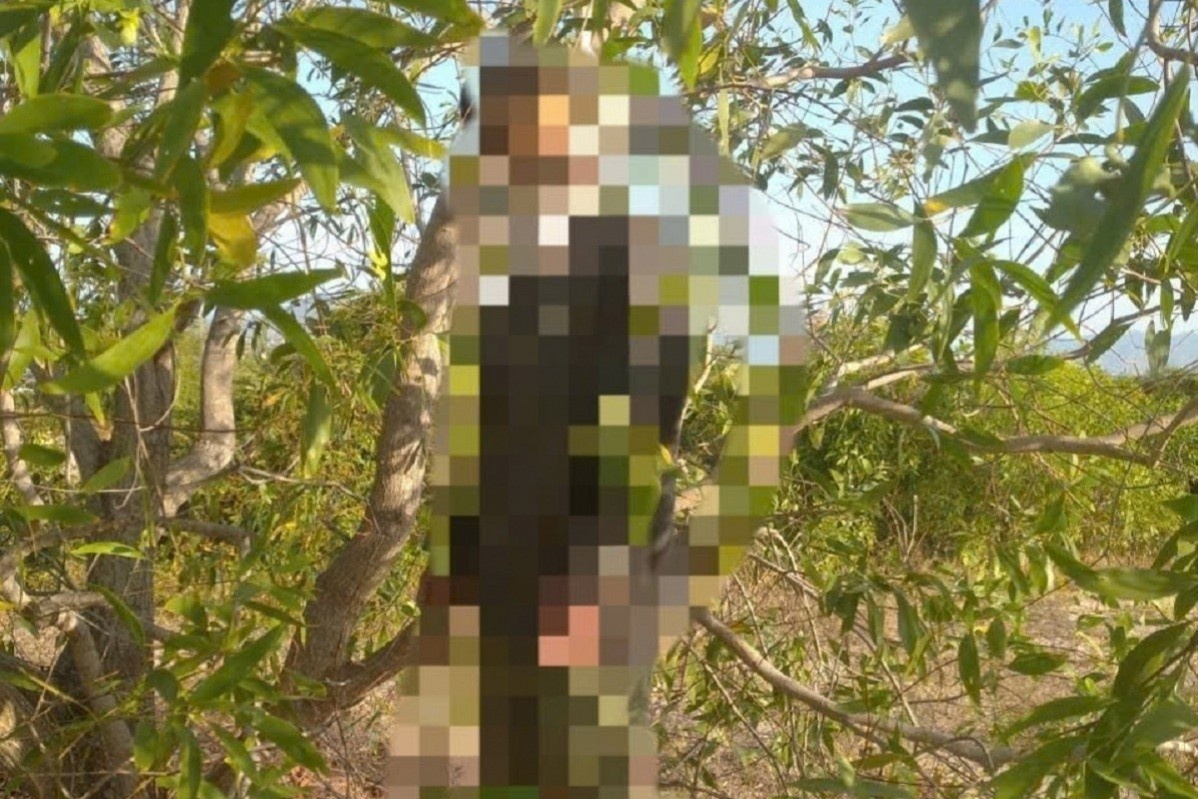 Phat hien nguoi dan ong tu vong trong rung tram, de lai thu tuyet menh hinh anh
