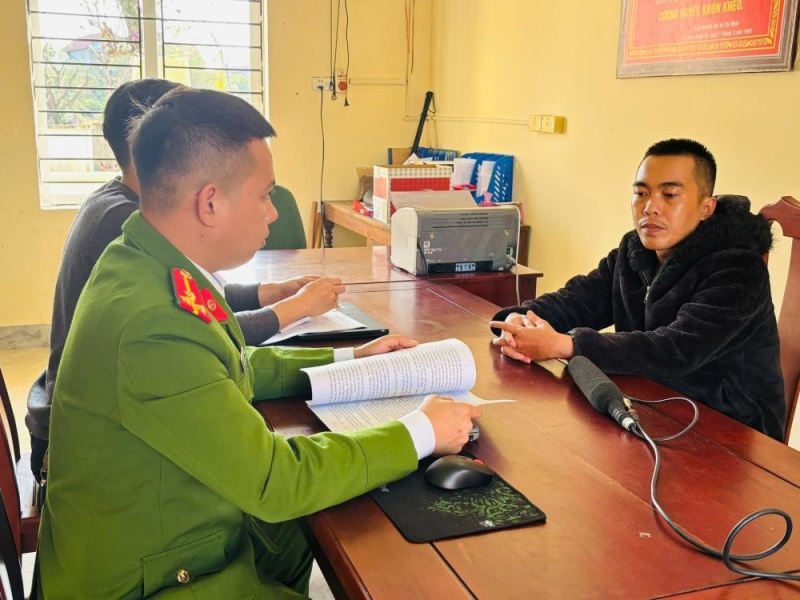 Lua ban,  may moc nong nghiep,  gia re qua mang anh 2