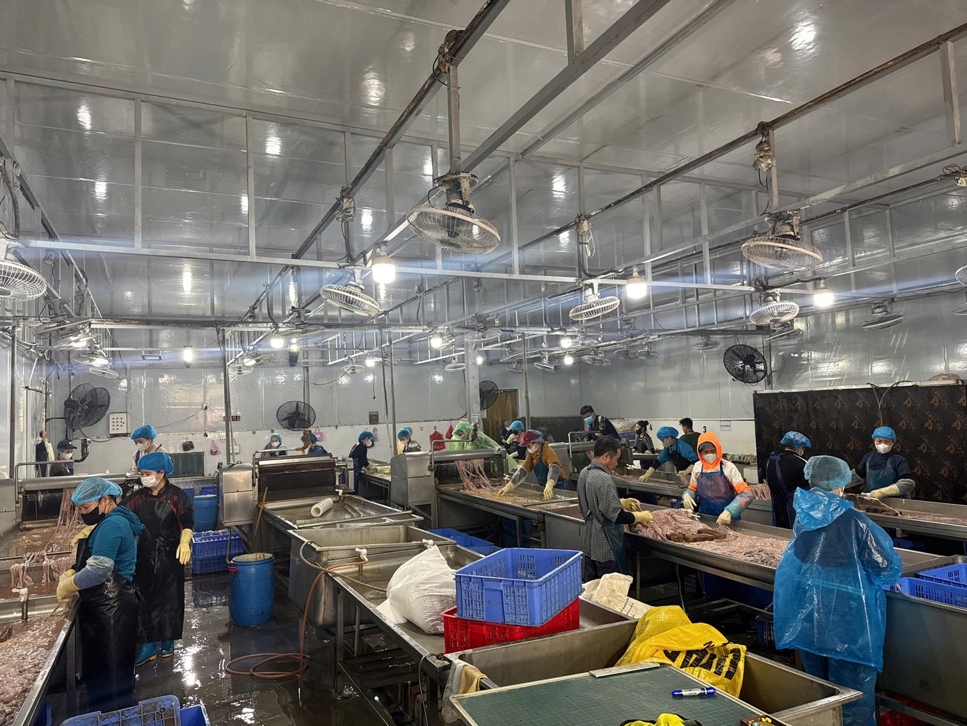 Thu giữ hơn, 60 tấn lòng lợn, không rõ nguồn gốc, Công ty Dũng Phát, Doanh nghiệp Dũng Phát, Giám đốc Dũng Phát ảnh 3 Thu giu hon, 60 tan long lon, khong ro nguon goc, Cong ty Dung Phat, Doanh nghiep Dung Phat, Giam doc Dung Phat anh 3