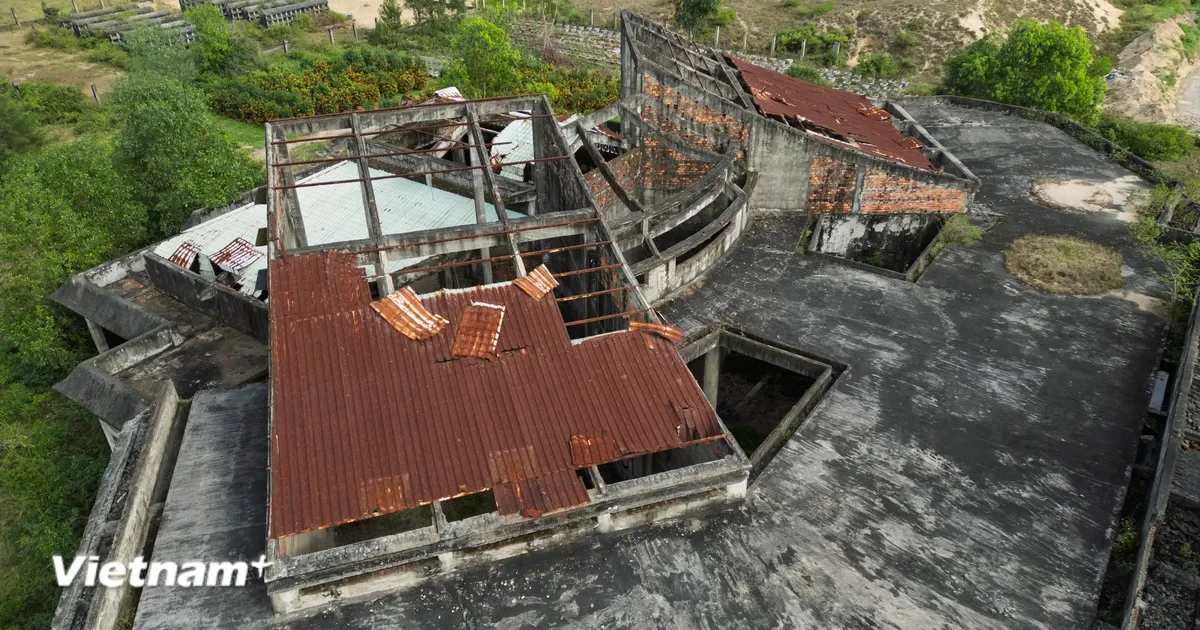 Du an nha hoa tang bo hoang 20 nam: Noi am anh o nhiem va lang phi hinh anh