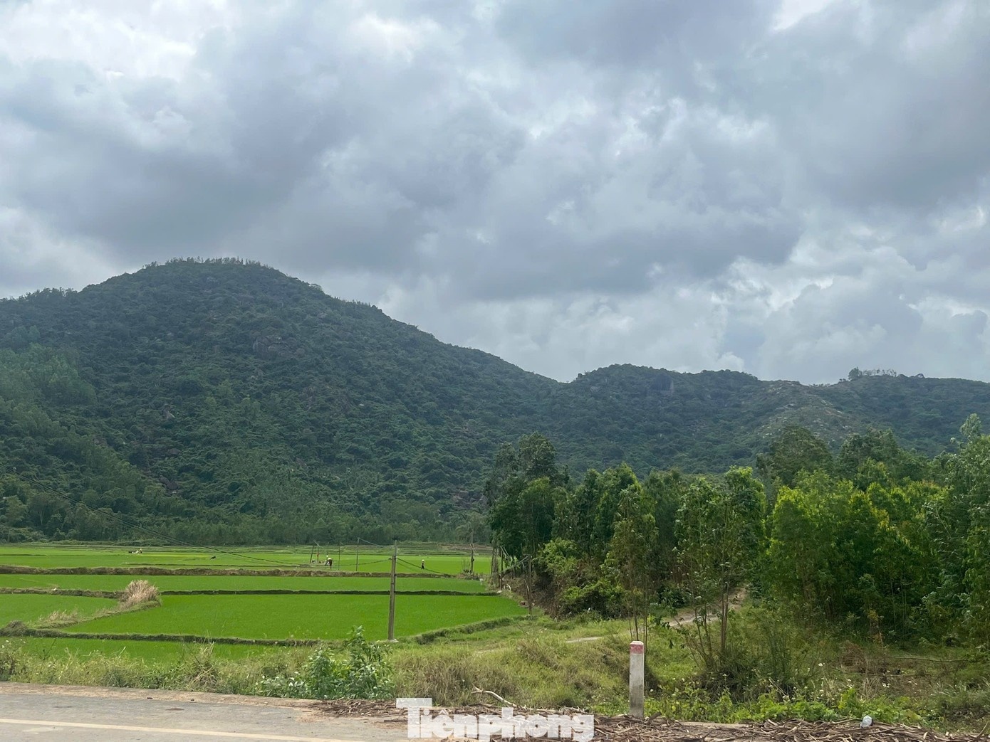 Nguyen Thanh Khang phi cong anh 3