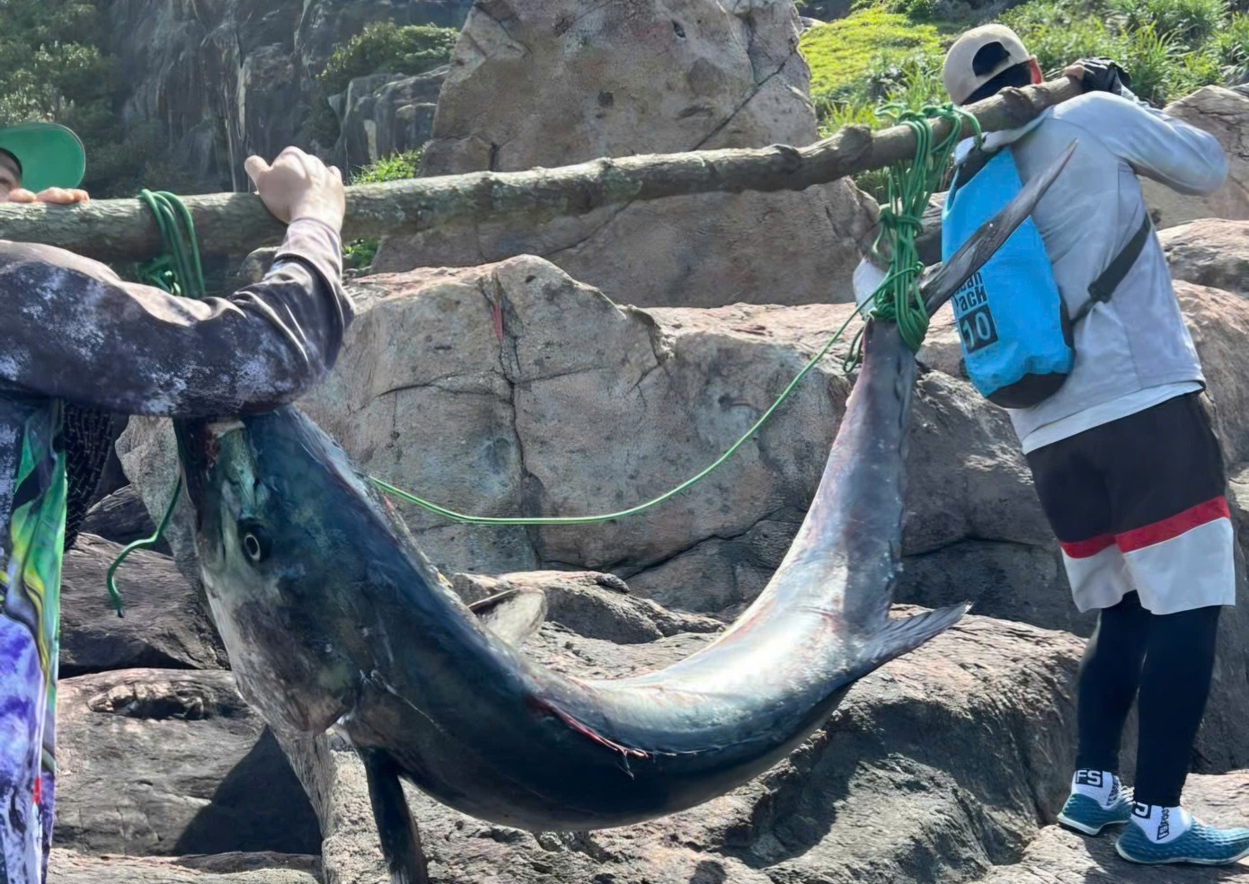 Cau duoc ca thu 'khong lo' dai 1,6 m o ban dao Son Tra hinh anh