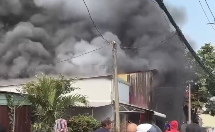 Chay lon o Cu Chi hinh anh