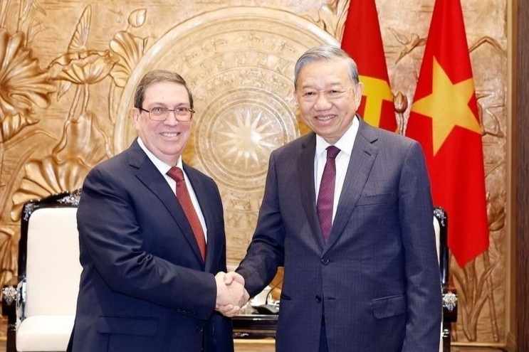 Cuba cu dac phai vien cap cao sang Viet Nam hinh anh