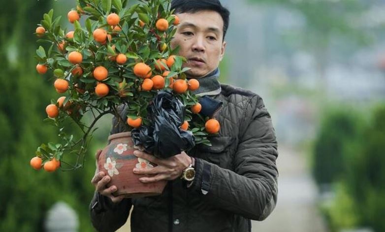 Du bao thoi tiet ngay 4/2: Mien Bac ret dam cuc bo hinh anh