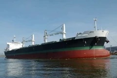 Mot thuyen vien Viet Nam tu vong tai cang cua Ai Cap hinh anh