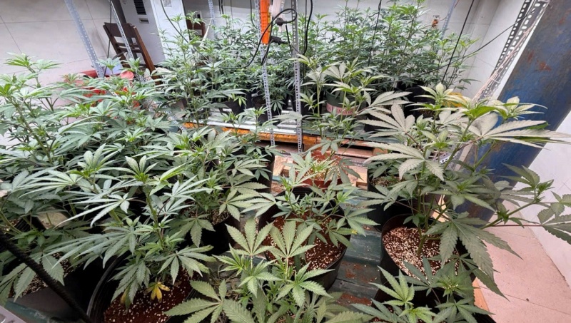 Khoi to vu trong, tang tru, mua ban can sa lon nhat tai Da Nang hinh anh