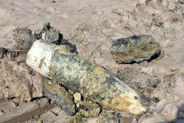 Nguoi dan Ca Mau phat hien 2 qua dan phao trong luc cai tao vuong tom hinh anh