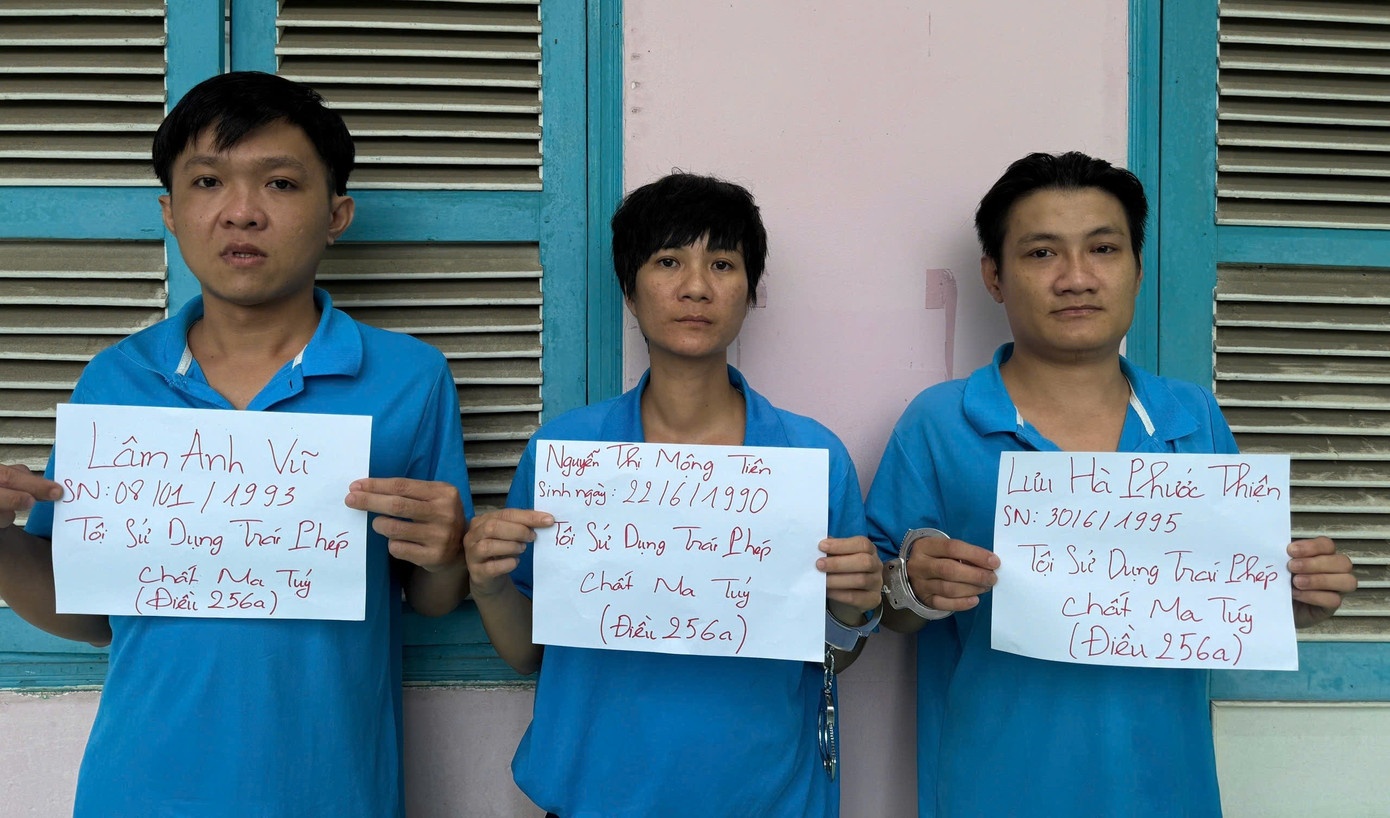 Quan ly sau cai,  Dap da anh 1